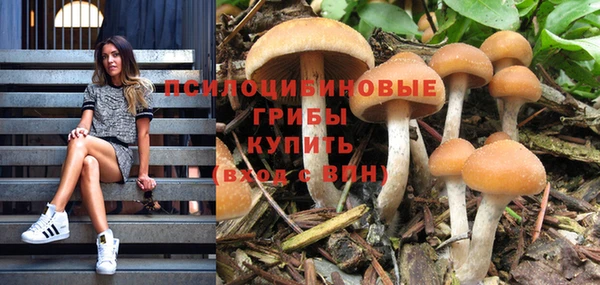 MESCALINE Армянск